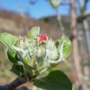 미골농장 이미지