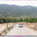 초록마을 이미지