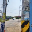 평화카포스 이미지