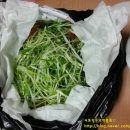 싸전닭집 이미지