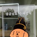 댕금님표 수제간식 | [제주 강아지케이크] 댕금님표 수제간식
