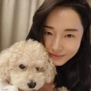 주식회사 키블