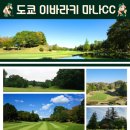다해드림투어 네이버블로그