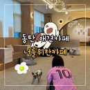 동양유치원 | [동탄애견카페] “너를위한카페” 방문 후기