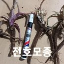 전호농장 이미지