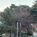 솔향기펜션 | 대구근교펜션 팔공산펜션 가성비 솔향기펜션