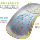 엑스바디 네이버블로그