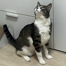 종로김밥 문래동점 | 내일도 행복이 여전했으면