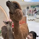 마리앤쥬 이미지