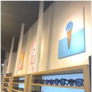 아이비스 안경콘택트 이미지