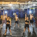 비원 트레이닝 이미지