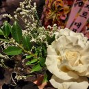 크리스탈 호텔 | 명동 중구 소공동 롯데호텔 본점 크리스탈볼룸 하객 후기