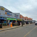 하니네 | 보령 천북굴단지 하니네수산 굴찜 내돈내산 후기 🦪