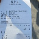 울산 장생포수국축제 대구 근교 수국 장생포고래문화마을수국정원 경남가볼만한곳 꽃구경 꽃축제