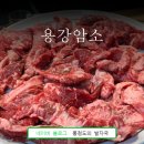 용강암소