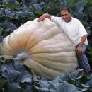 세계농장 이미지