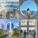 공중도시 | 오사카 자유여행 우메다 공중정원 간사이 조이패스 무료