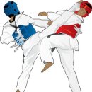 용운태권도 이미지