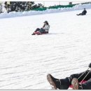 베스트365놀이터 이미지