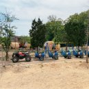 펠리시떼 이미지