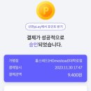수풀떠들썩파랑나비