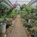 훈이네민박 이미지