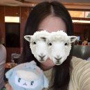 뉴로또노래연습장 | 예준이 생일이다. 용궁산책 케이크 먹으러 십카페 방문하자. 드립백 및 럭드 후기
