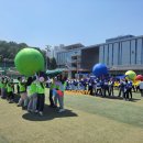 명랑컴퍼니 | 기업체육대회 회사 명랑운동회 대행 후기