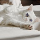 봄날동물병원 이미지