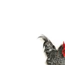 이상원미술관 이미지