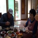 울릉도산나물，더덕