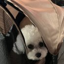 우림청과 이미지