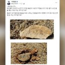 이재명 부모 산소 훼손…“저승의 부모님까지 능욕” 이미지