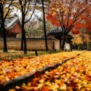 삶-풍경…愛 이미지