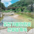 포천 선유담계곡 애견동반 아이랑가볼만한곳