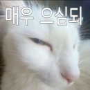 뒤끝 이미지