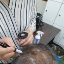이인자미용학원 | 울산미용학원 헤어미용자격증 그리고 다른 모든 것들까지