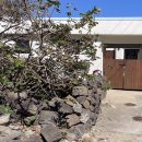 느릿느릿 김녕집 이미지