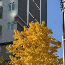 지한약국 이미지