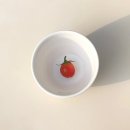 [JM헬스팩토리 대학생 서포터즈]발대식 현장 스케치