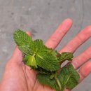 한국피자헛분평대로점 | 모로코 페즈 여행 테너리 방문 및 페스 중식 요리집 저녁 메뉴 추천