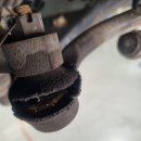 곰카센타 이미지