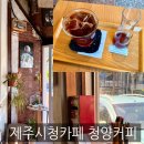 청양 | 제주공항 근처 카페 찾는다면 여기, 청양커피 솔직 후기