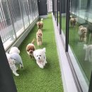 노은유치원 네이버블로그