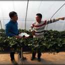 김용선 농장 이미지