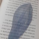 옥토 책갈피 산 기념으로 목련 책갈피 자랑 이미지