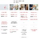 메모픽쳐스 | W7. 부산 W웨딩 본식 DVD | 메모픽쳐스 계약 후기
