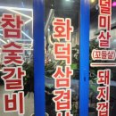 돼지도있소 이미지