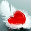 러브러브 이미지