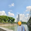 [DAY2] 머라이언파크, 서던리지스(헨더슨웨이브), 송파바쿠테 비보시티점 후기